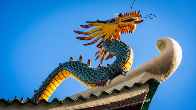 Luxury unboxing of handcrafted dragon sculpture in custom foam-lined collector's box